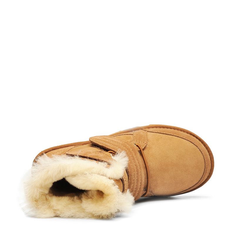 Product-detail